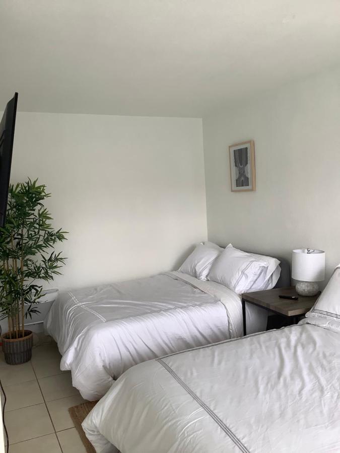 Hotel Motel Lauderdale Inn Φορτ Λόντερντεϊλ Εξωτερικό φωτογραφία